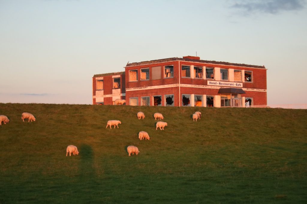 Hotelruine am Deich mit Schafen