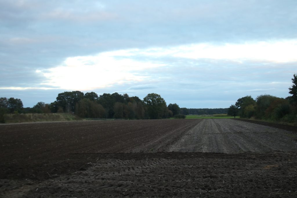 Abendstimmung in der Lüneburger Heide