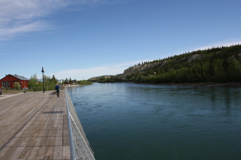 Yukon River in Whitehorse