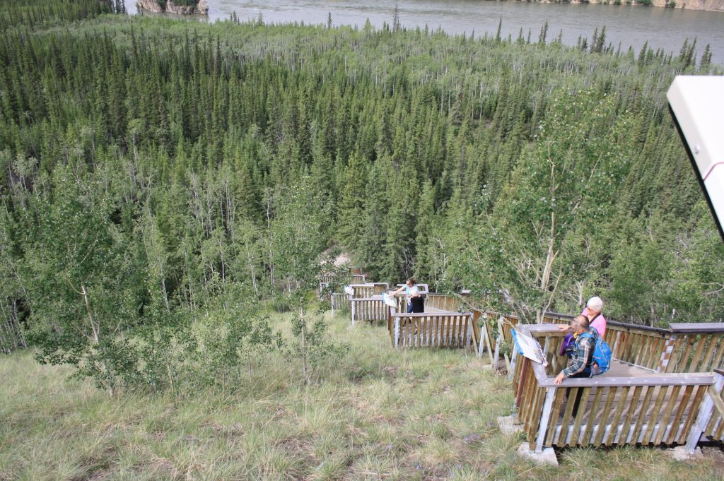 Abstieg zum Yukon River