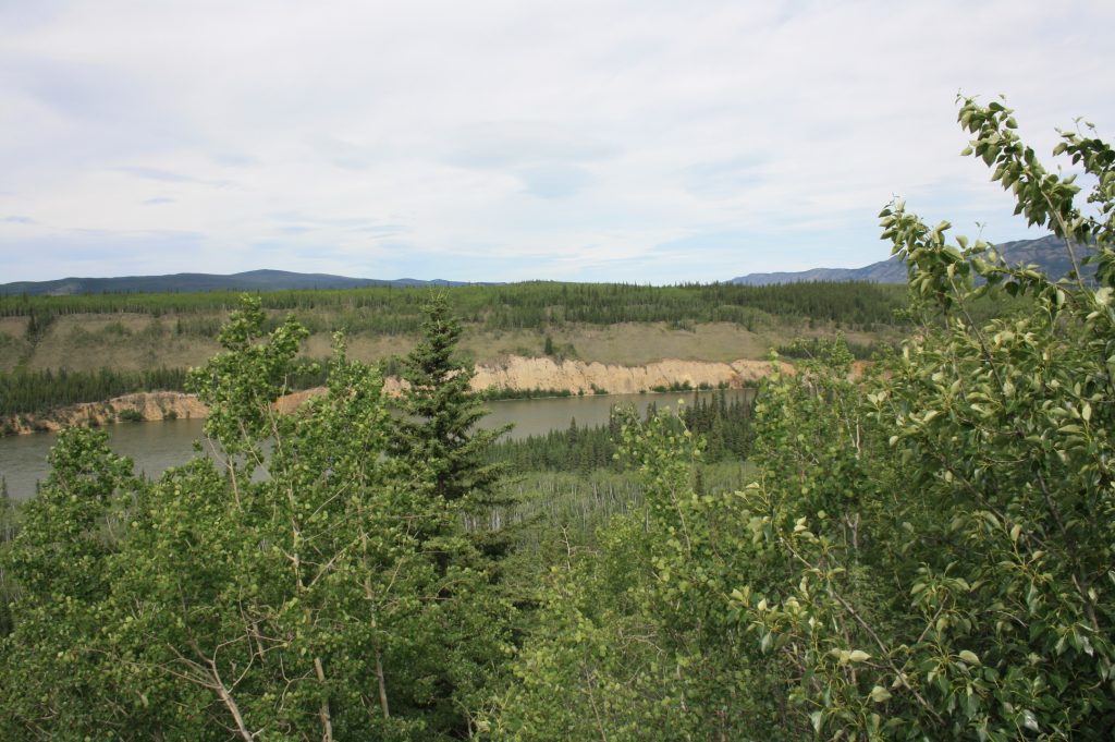 Blick über den Yukon River