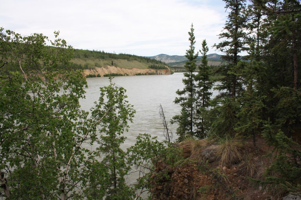 Blick auf den Yukon River