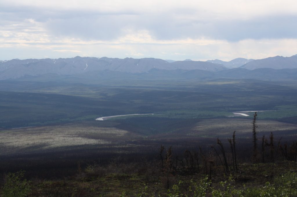 Landschaft am Dempster Highway